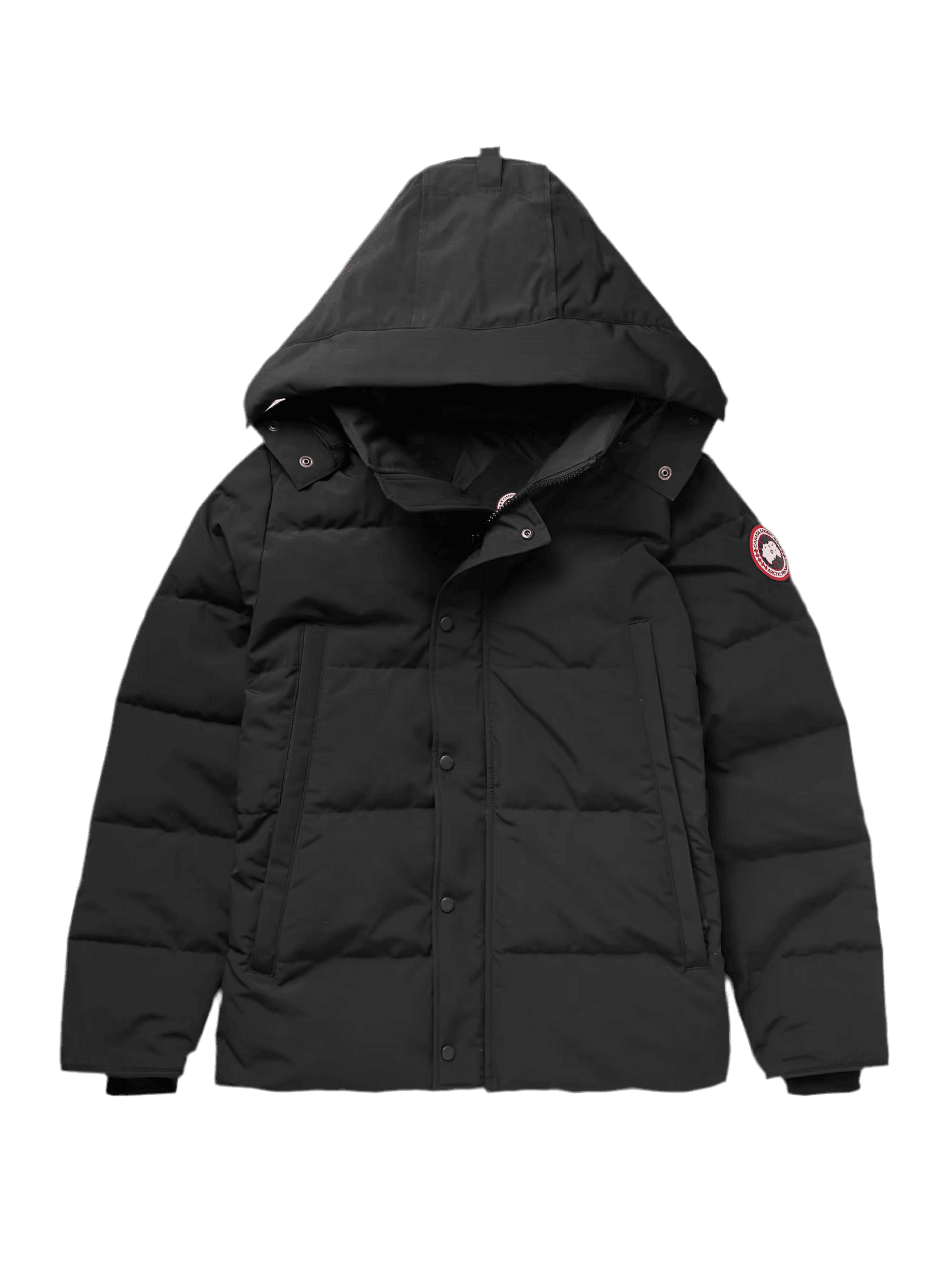 Black c goose no fur - VDRXPLG🔌