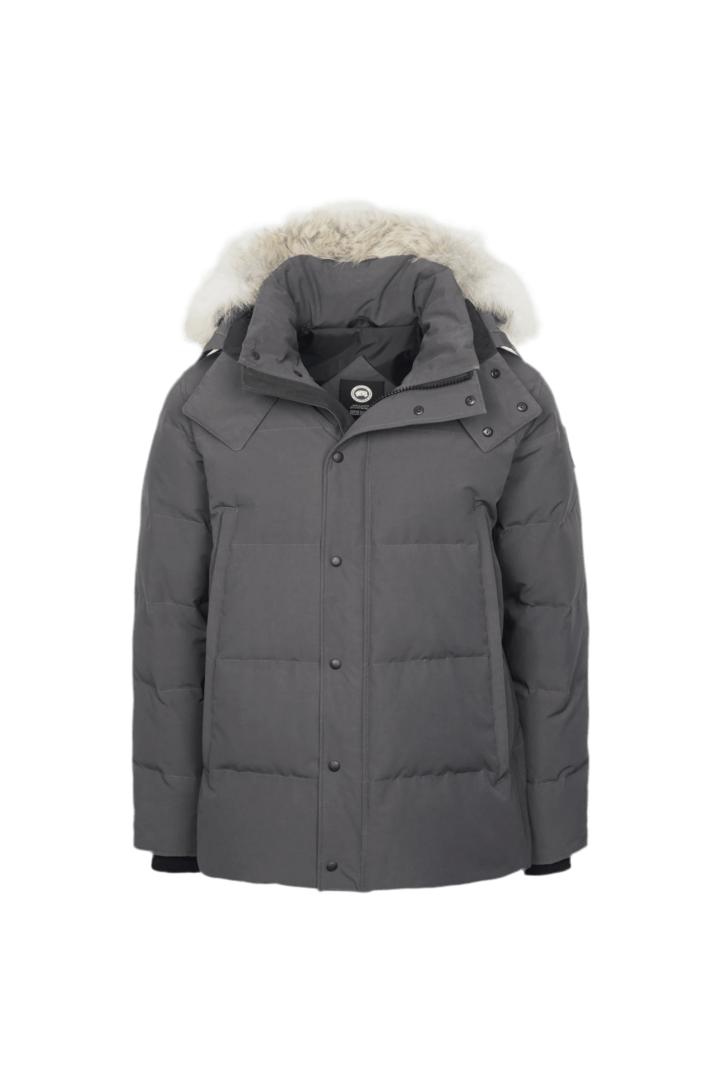 Grey c goose - VDRXPLG🔌