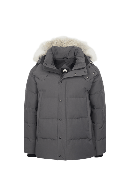 Grey c goose - VDRXPLG🔌